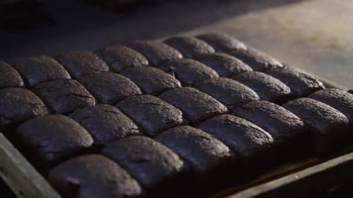 View of Tray with Freshly Baked Loaves of Rye Bread in the Bakery