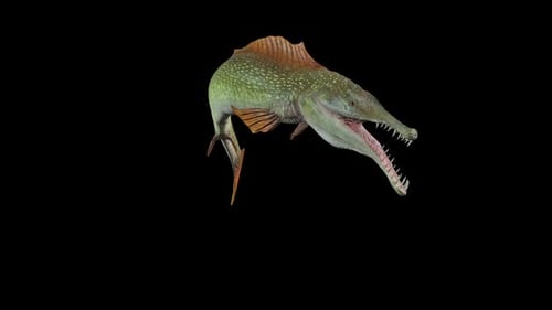Realistic 3D Gar Pike Fish Swimming Animation