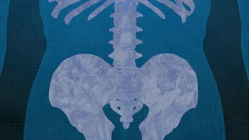 Futuristic 3D Medical Scan of Human Spine and Pelvis