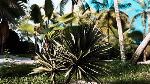 Serene Tropical Garden with Lush Palm Trees and Exotic Plants