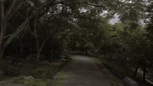The Park