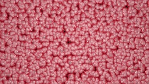 Pulsating Red Organic Cellular Tissue Background