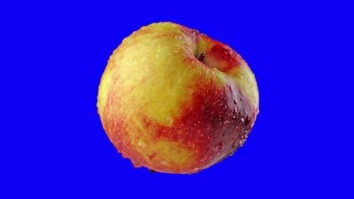 Apple Rotates on Blue Screen for Chroma Key