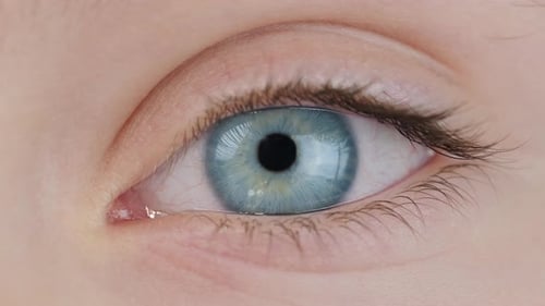 Human Eye Macro