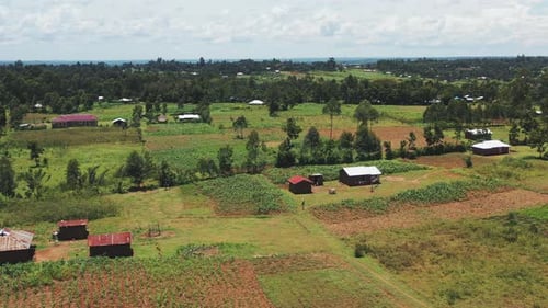 Africa Village And Field
