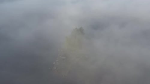 Island Fog Aerial
