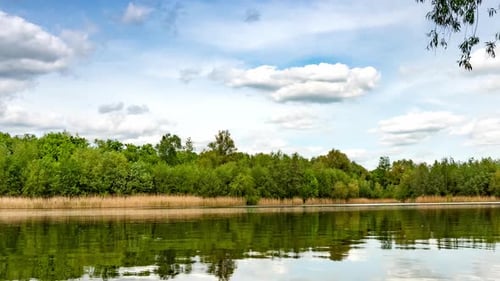 Calm lake in green city park.