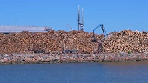 Caminhão de carga da floresta azul trabalhando no terminal de carga seca no porto de Liepaja em dia ensolarado com céu claro