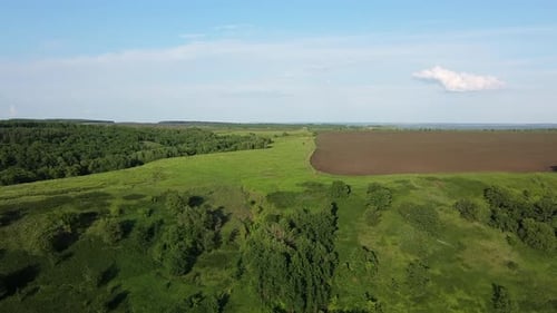 Forest and Cultivated Field, Aerial View. The Neighborhood of Nature and Human