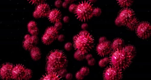 Animated Red Virus Cells Floating on Black Background