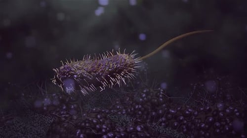 Animated Microscopic Bacterium Cell Moving