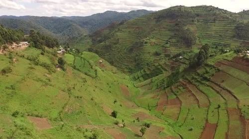 Aerial view of fields on highlands in Uganda
