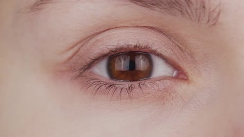 Nahaufnahme des weiblichen braunen Auges. Frau schaut in Nahaufnahme in die Kamera.