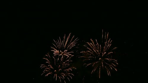 Colorful Firework display at night on sky background