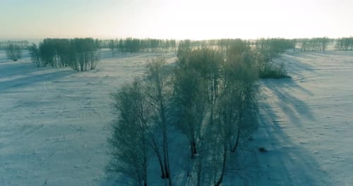 Aerial Drone View of Cold Winter Landscape with Arctic Field Trees Covered with Frost Snow and