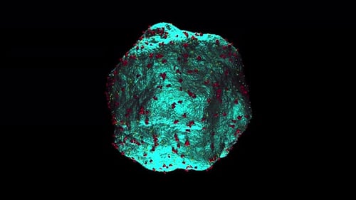 Covid Virus Xray with Artifical Intelligence