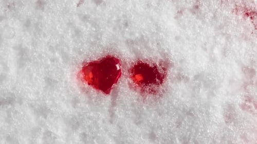 Red Heart Decorations Filling Snow in Close-up Shot