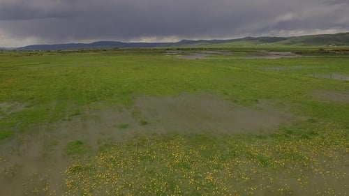 Survoler des pâturages verdoyants inondés et s'élever au-dessus d'une rivière boueuse