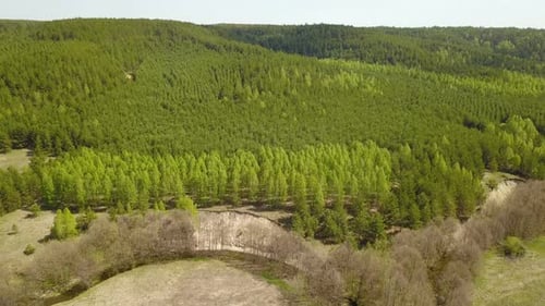 River And Forest Hill In A Countryside