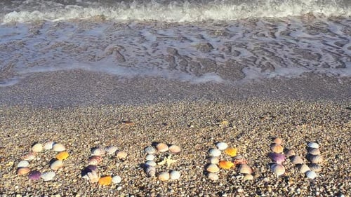 Shells 7