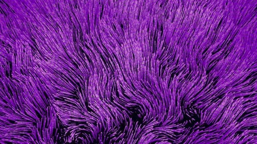 Tentacules lumineux se déplaçant sous l'eau, monde inconnu