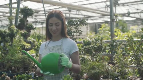 Woman Watering Plants in Sunny Greenhouse