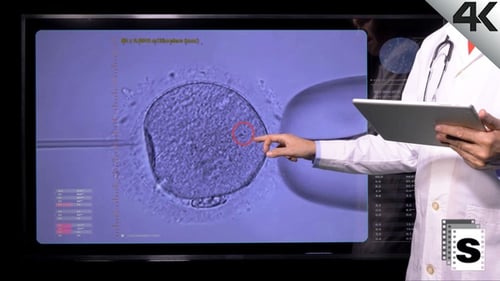 Fertilisation des spermes