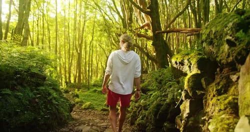 Ein Tourist geht auf einem schmalen Pfad im Wald spazieren