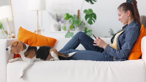 Woman Relaxes on Sofa with Beagle Puppy