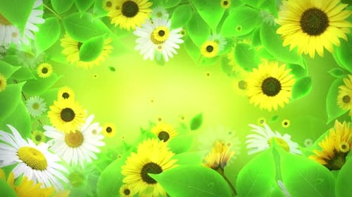 Frühlings-Blumen