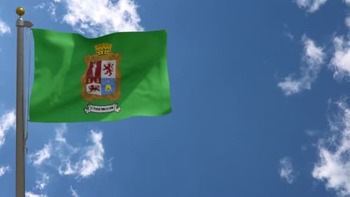 Bandera de la ciudad de León (México) en asta de bandera