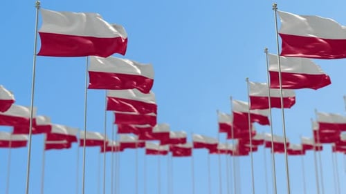 Poland Row Of National flags Walk Throw Animation