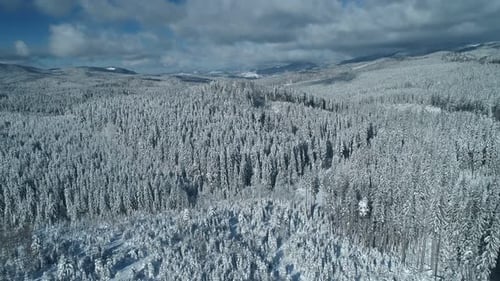 Aerial View of Snowy Mountain Peaks and Frozen Trees in the Winter Morning