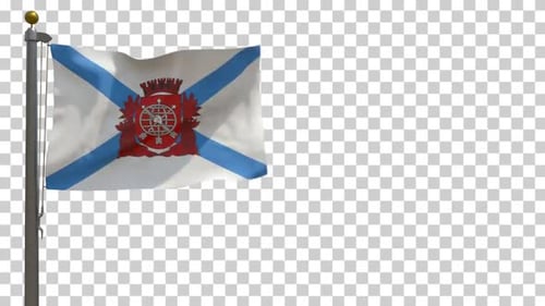 Flag Of Sao Paulo Waving On Pole With Alpha Channel