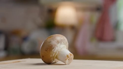 Champignons Champignons Holzbrett Küche