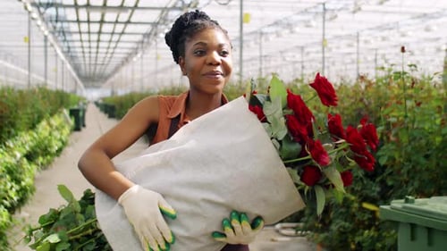 Woman Carrying Roses in Greenhouse