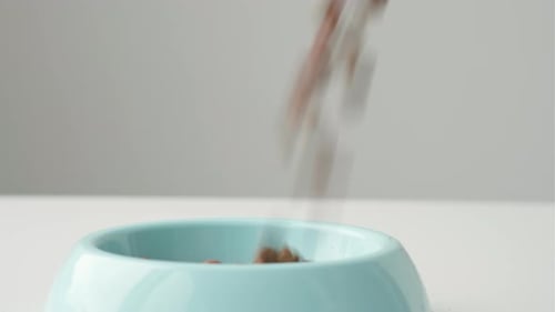 Dry Pet Food Poured into a Light Blue Bowl