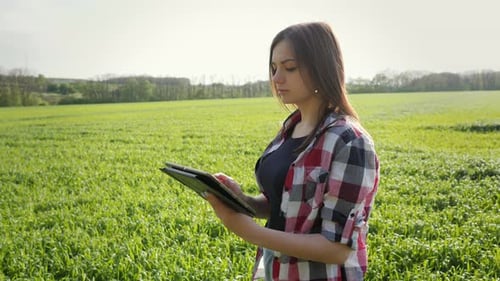 Female Modern Farmer Using Digital Tablet on Wheat Field