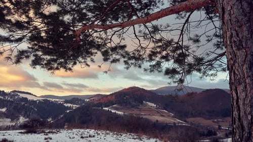 Tree Branches Bent in the Wind Winter Landscape Clouds in Motion at the Catfish