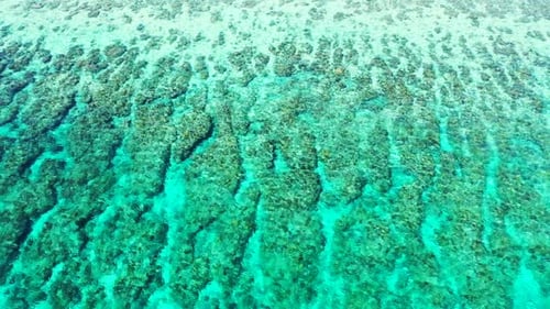 Aerial flying over abstract of tranquil shore beach holiday by clear sea and white sand background o