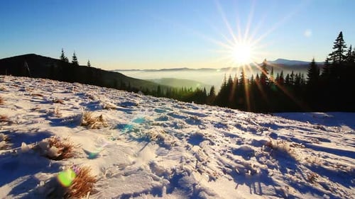 Golden Sun Touching Mountain on Sunset. Winter in Mountains. Ukraine Carpathians Dragobrat