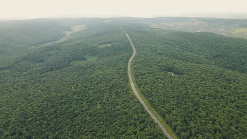 Aerial View Drone Flight Over an Asphalt Road That Crosses the Green and Magnificent Forest Highway