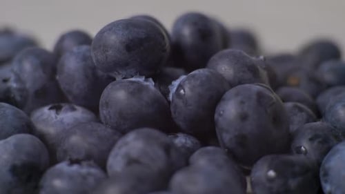 Detail of Blueberries. Macro Trucking Shot