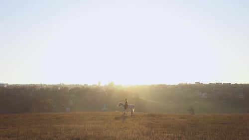 Girl on the Background of a Landscape on Horseback in the Middle of the Field. Slow Motion. Side