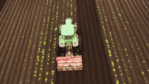 Tractor Cultivates the Land in the Field