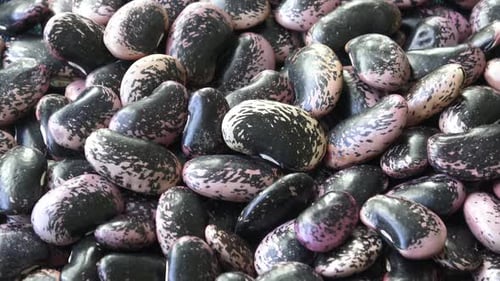 Pile of Raw, Speckled Beans Close Up