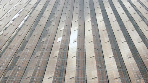 Bâtiments de serre avec plantes en croissance sous des toits en verre