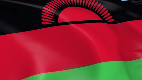 Realistic Waving Malawi Flag Seamless Loop