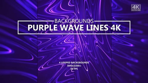 Glowing Fluid Abstract Purple Wave Lines Motion Background