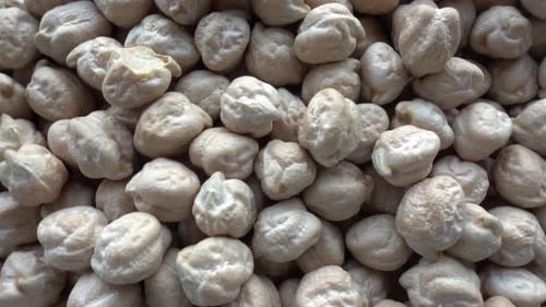 Pile of Beige Chickpeas in a Close Up Shot